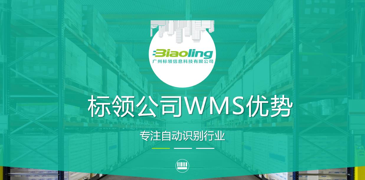 標領(lǐng)WMS的四大優(yōu)勢